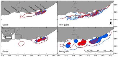Variability in the Foraging Distribution and Diet of Cape Gannets between the Guard and Post-guard Phases of the Breeding Cycle
